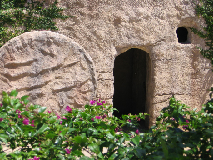 B3F374A5-60AF-426F-A69C-2A82154356C8